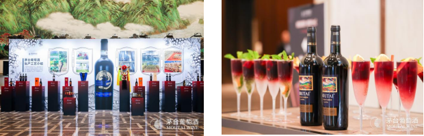 ug环球会员注册