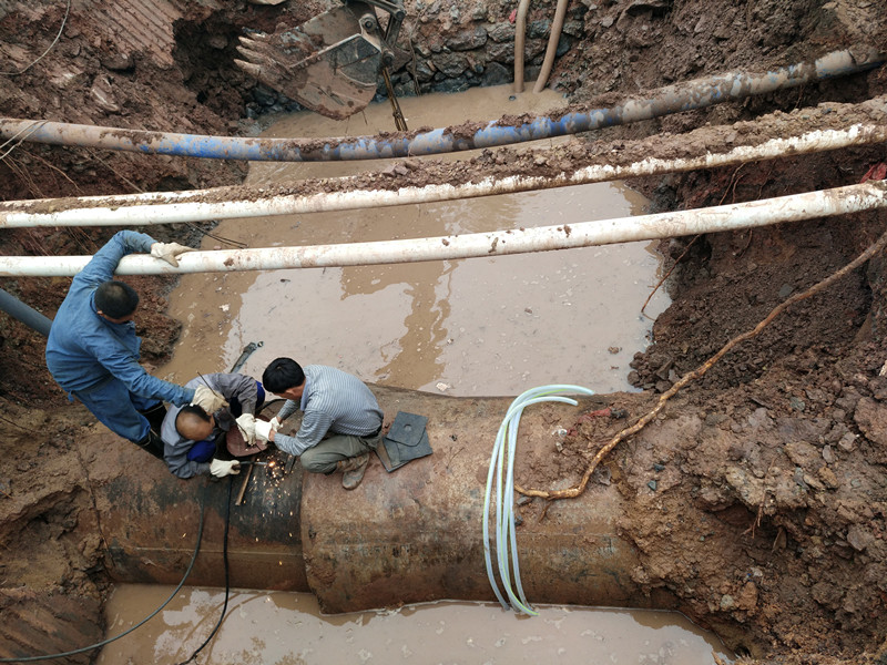 ug环球会员注册