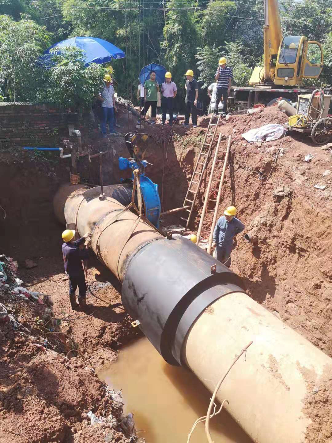 ug环球会员注册