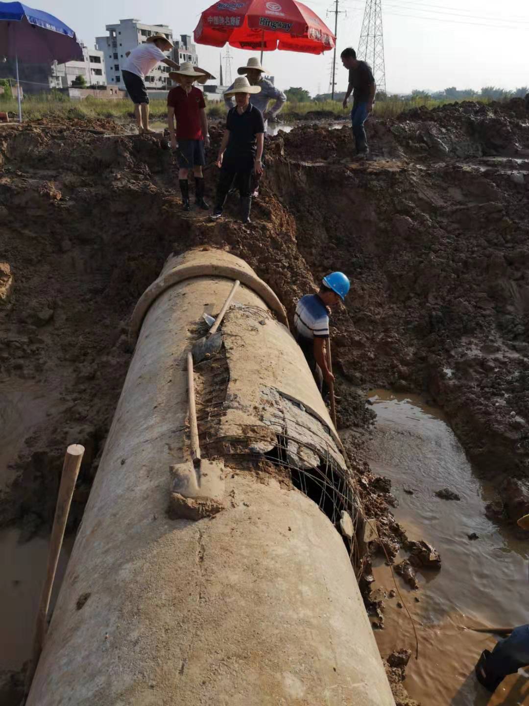 ug环球会员注册