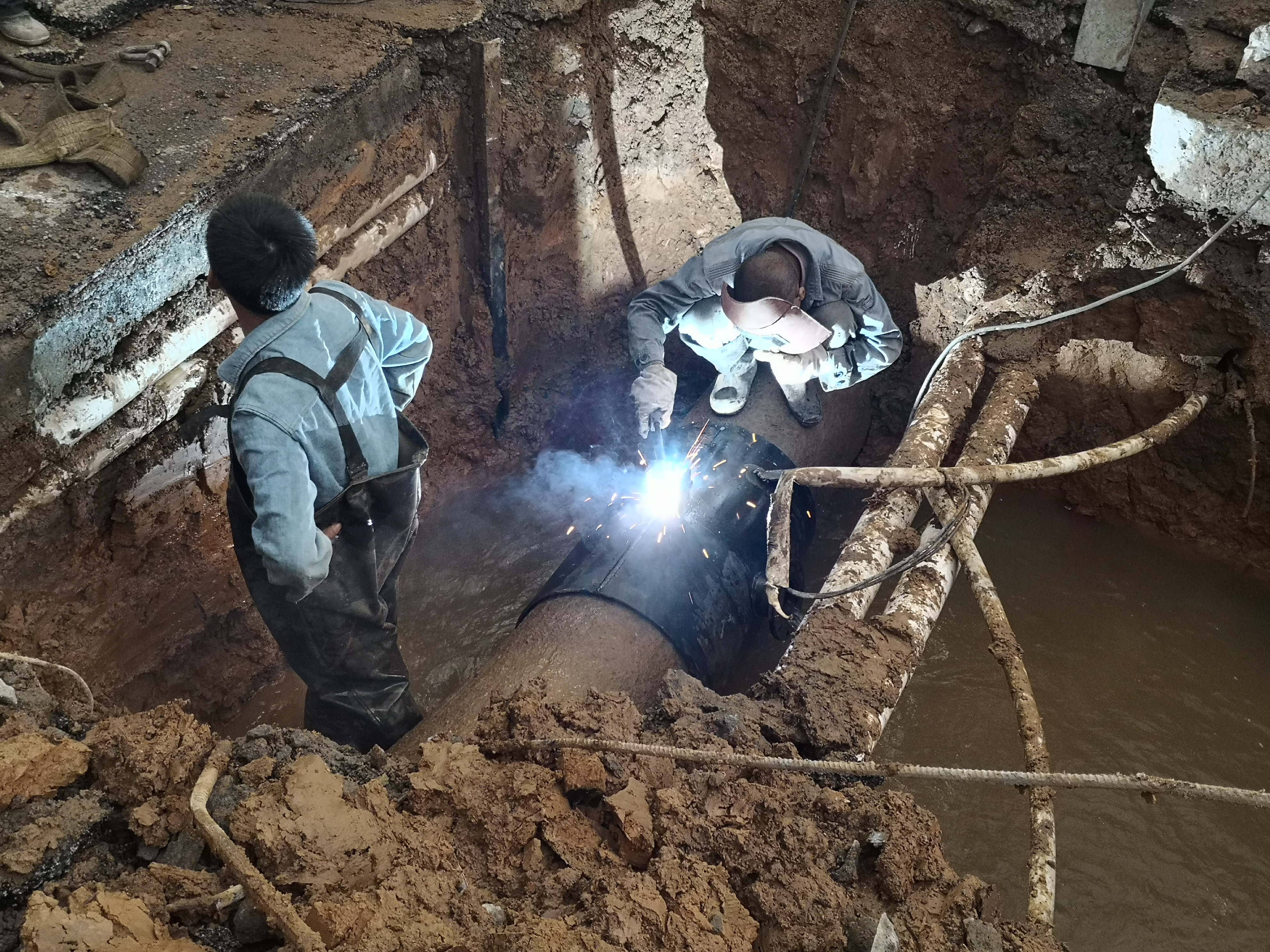 ug环球会员注册